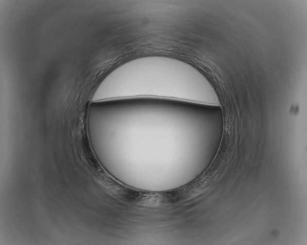 X0000095540127200712141032