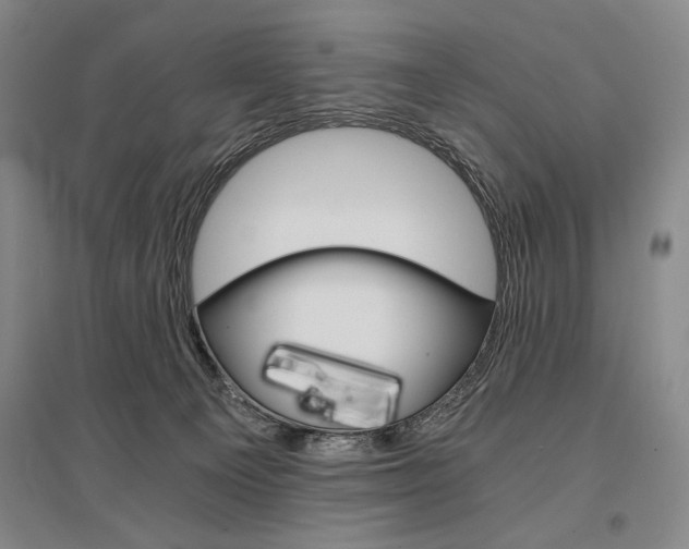 X0000095540129200712141032