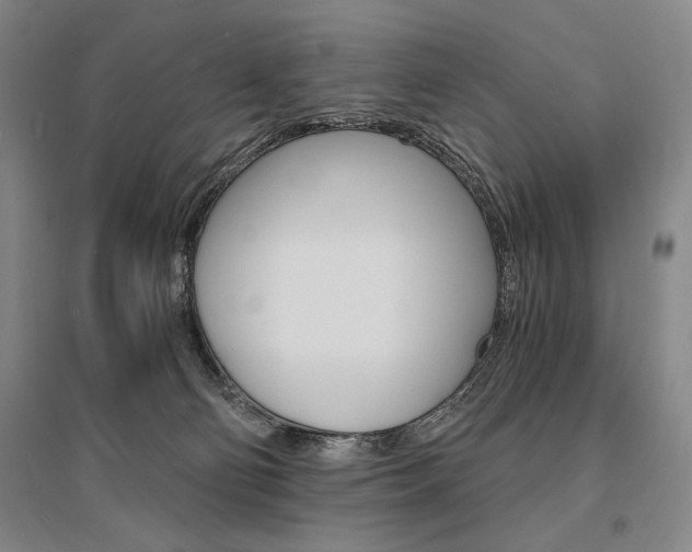 X0000095540130200712141032