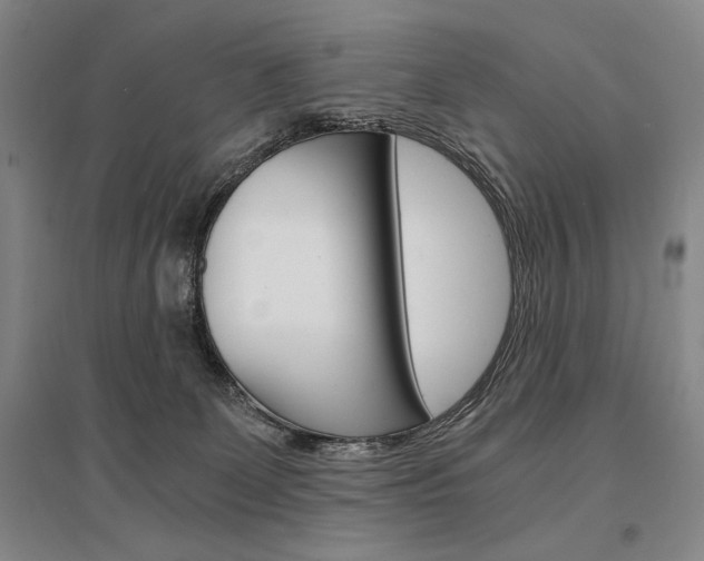 X0000095540131200712141032