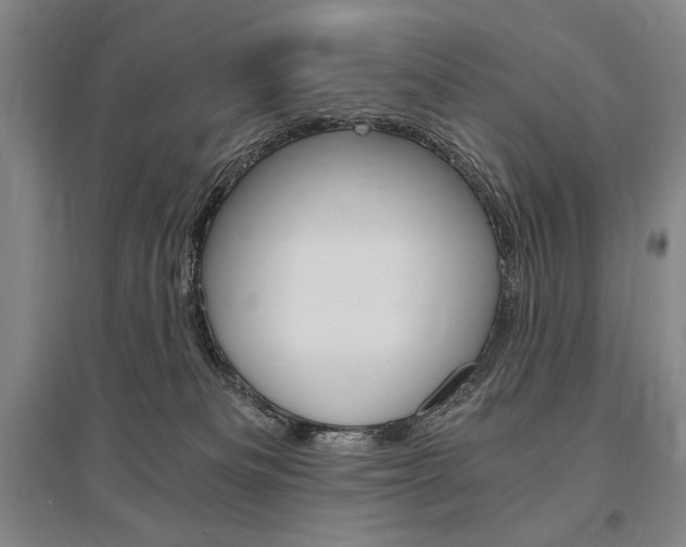 X0000095540133200712141032