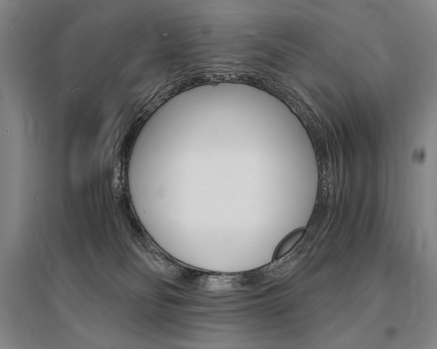 X0000095540134200712141032