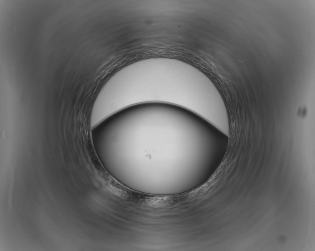 X0000095540136200712141032