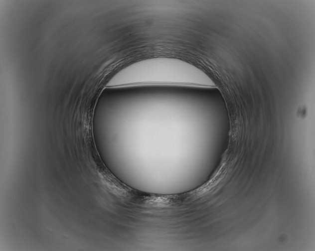 X0000095540140200712141032