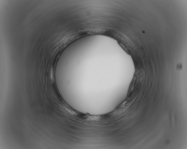 X0000095540143200712141032