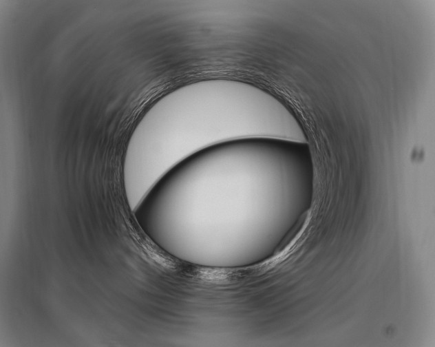 X0000095540144200712141032
