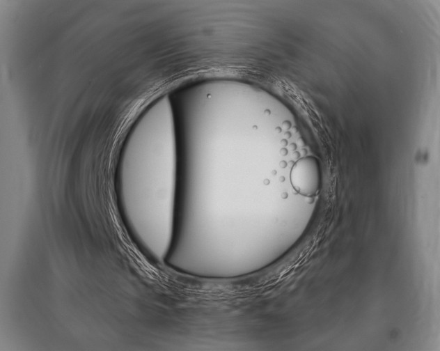 X0000095540145200712141031