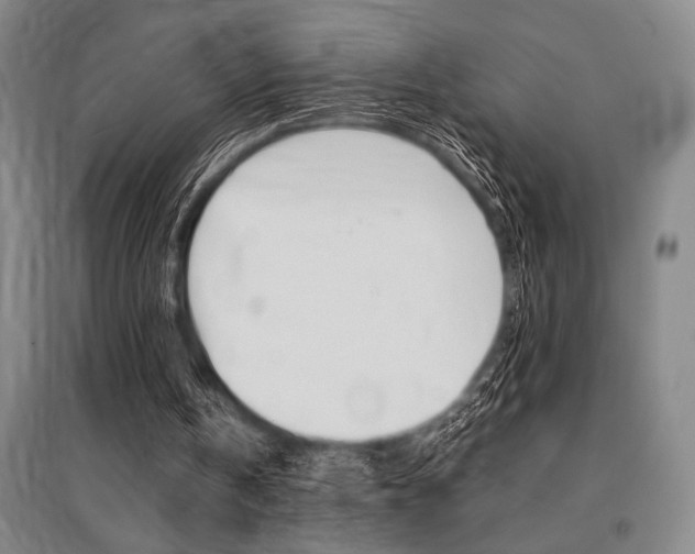 X0000095540146200712141031