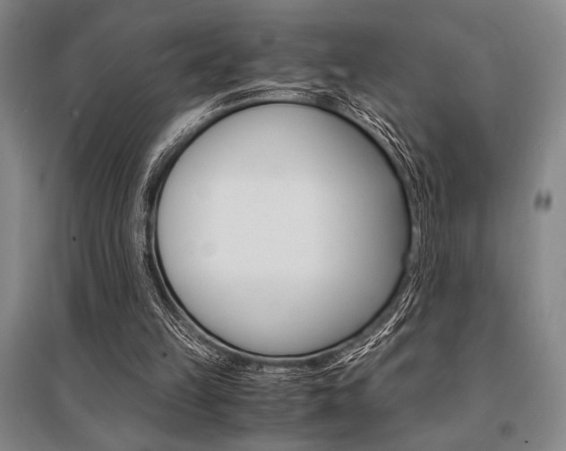X0000095540149200712141031