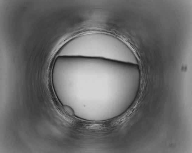 X0000095540151200712141031