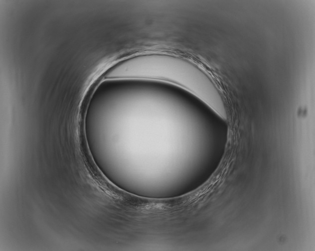 X0000095540152200712141031