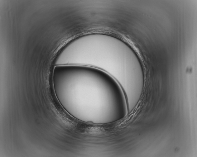X0000095540154200712141031