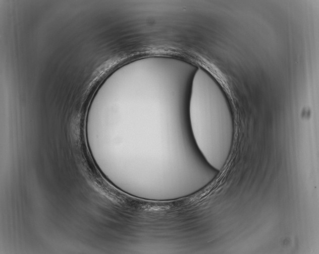X0000095540155200712141031