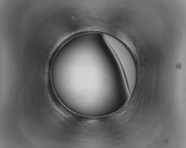 X0000095540156200712141031