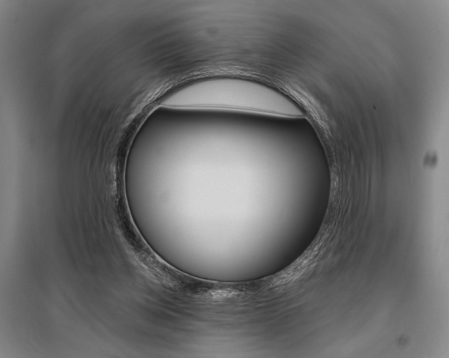 X0000095540158200712141031