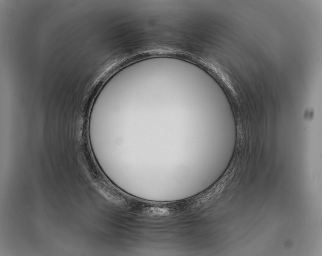 X0000095540159200712141031