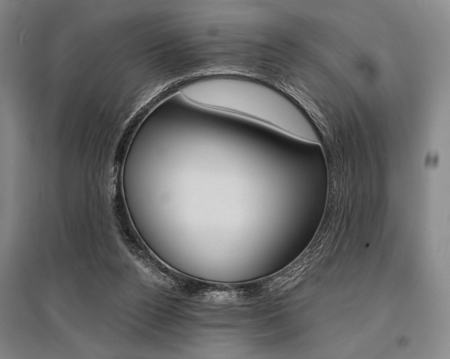 X0000095540160200712141031