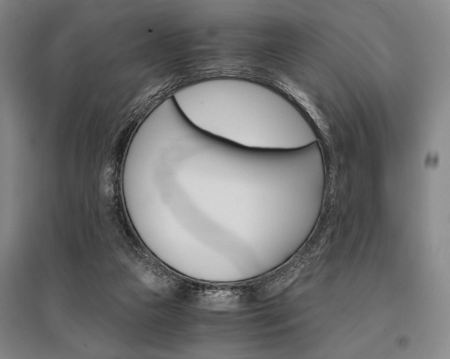 X0000095540161200712141031