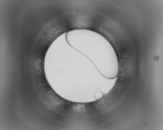 X0000095540162200712141031