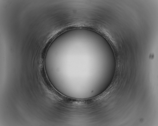 X0000095540164200712141031