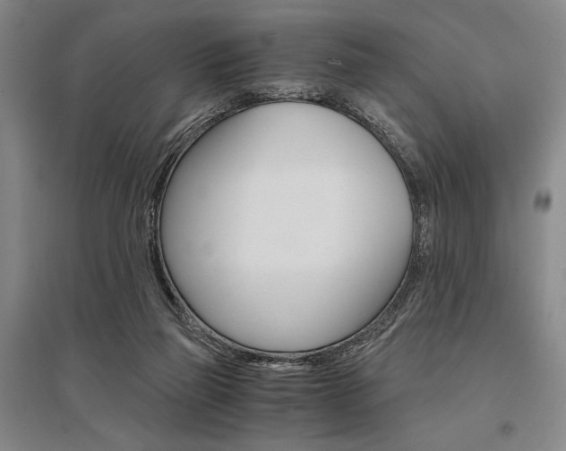 X0000095540165200712141031