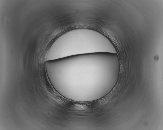 X0000095540167200712141031