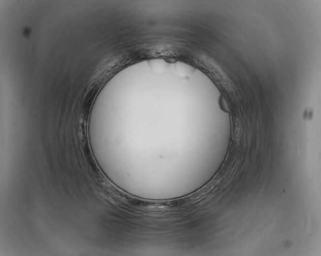 X0000095540169200712141031