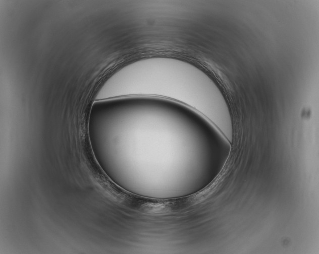 X0000095540170200712141031