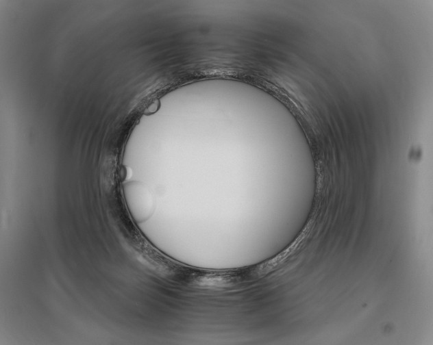 X0000095540171200712141032