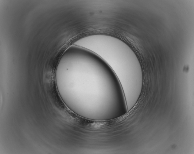 X0000095540172200712141032