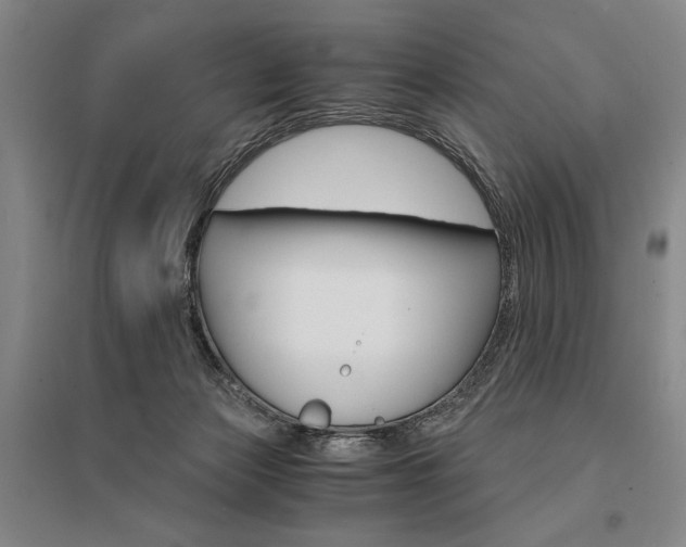 X0000095540173200712141032