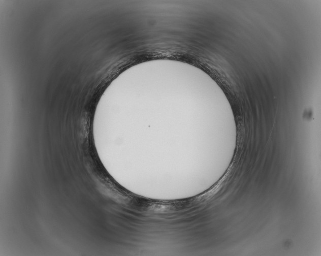X0000095540174200712141032