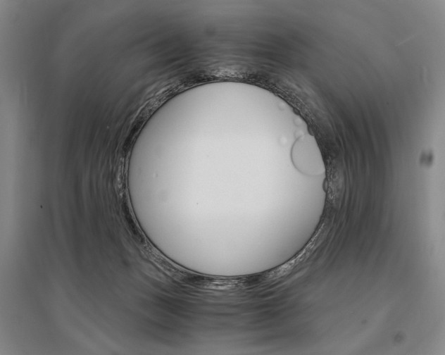 X0000095540175200712141032