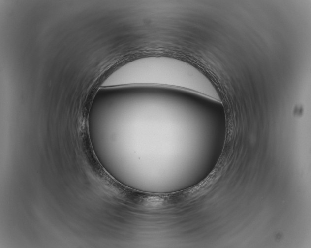X0000095540176200712141032