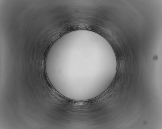 X0000095540177200712141032
