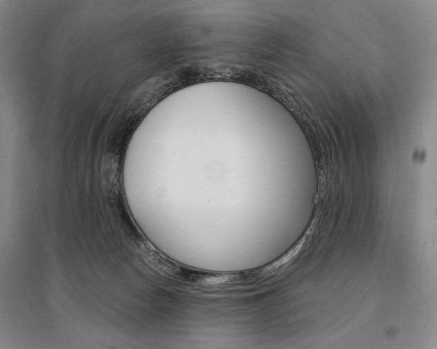 X0000095540178200712141032