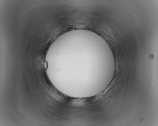 X0000095540179200712141032
