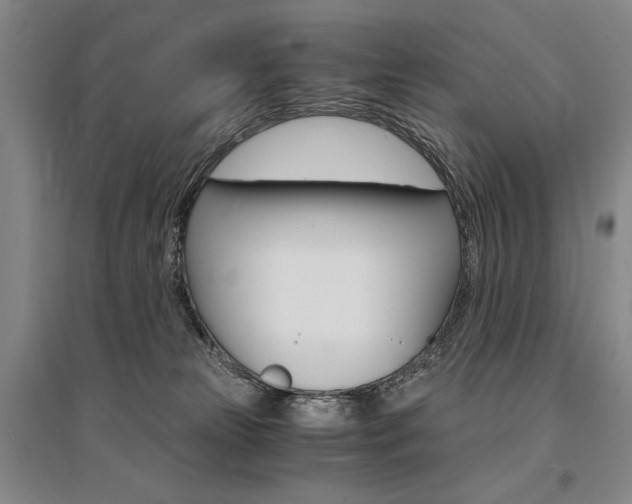 X0000095540181200712141032