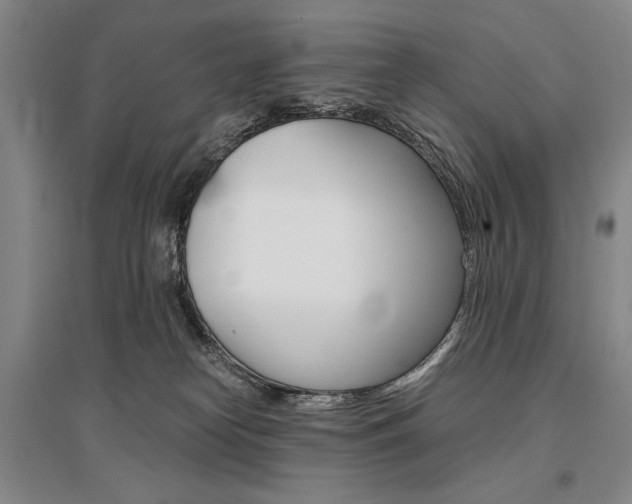 X0000095540182200712141032