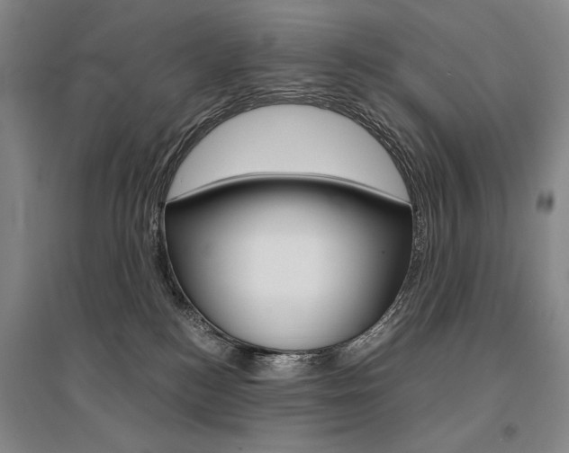 X0000095540184200712141032