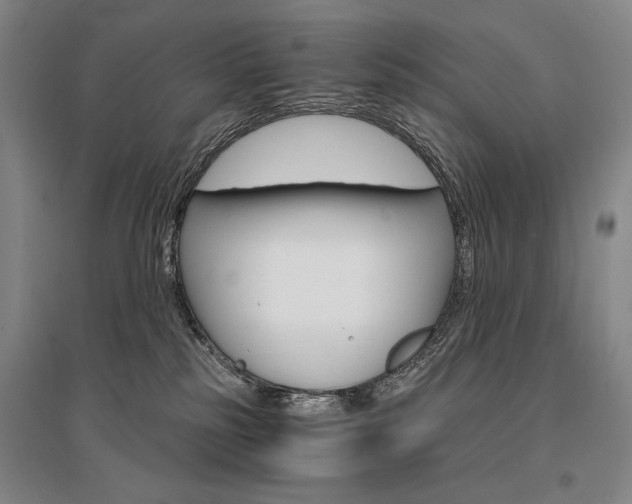X0000095540185200712141032