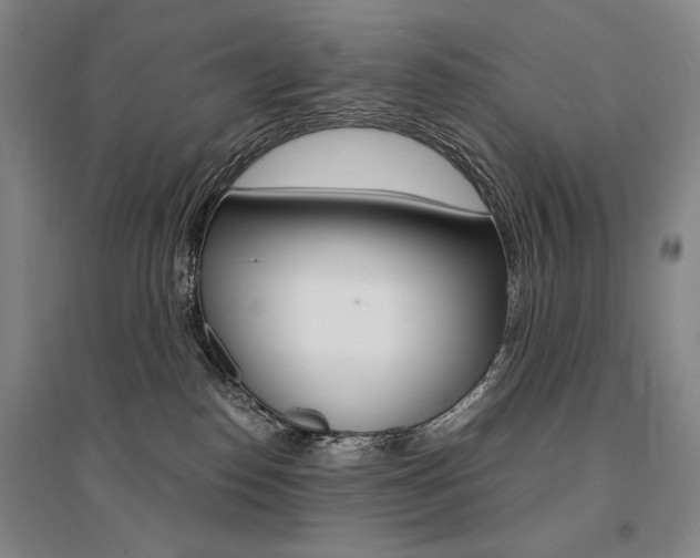 X0000095540186200712141032