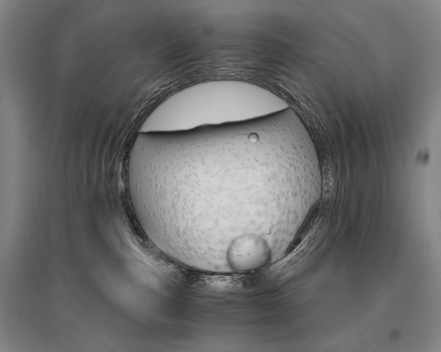 X0000095540187200712141032
