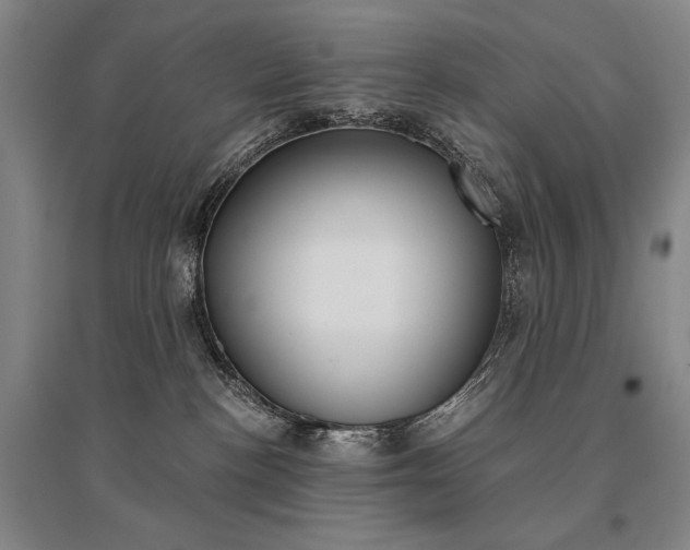 X0000095540188200712141032