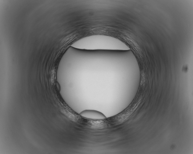 X0000095540189200712141032