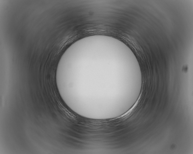 X0000095540190200712141032
