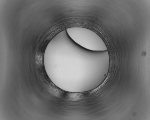 X0000095540191200712141032
