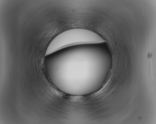 X0000095540192200712141032