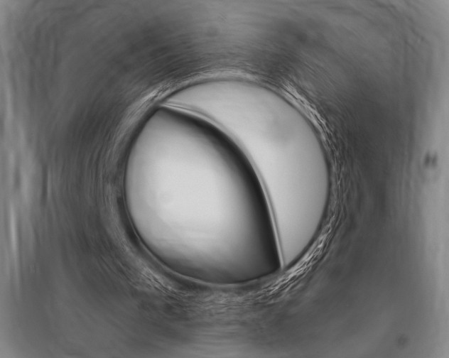 X0000095540193200712141031