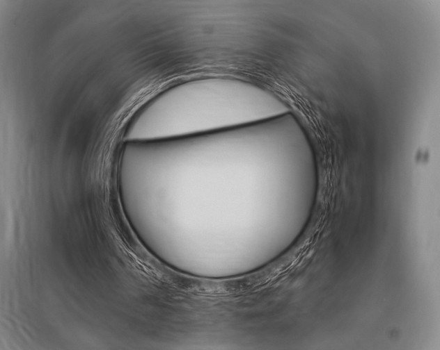 X0000095540194200712141031